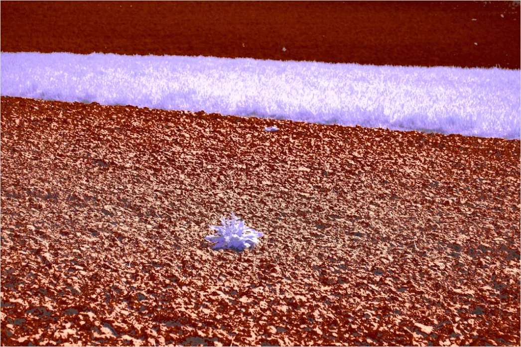 Detail Hailstones On Ground Close Up Number 11