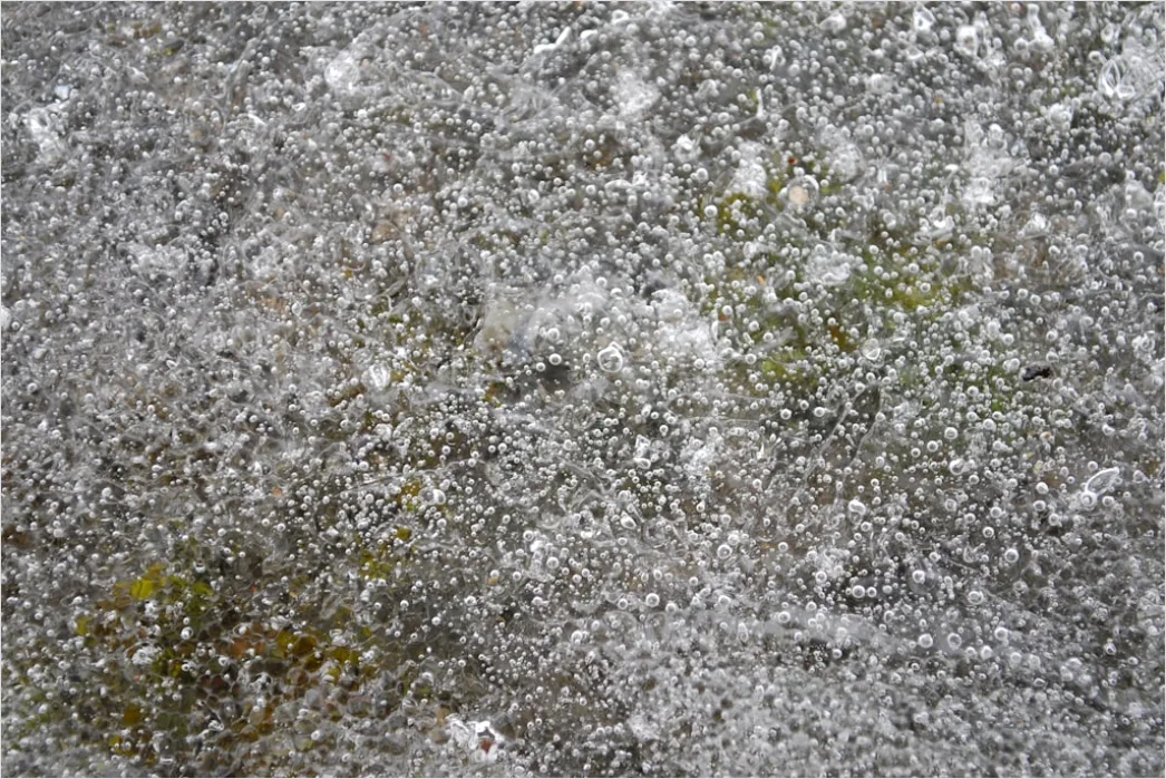 Detail Hailstones On Ground Close Up Number 12