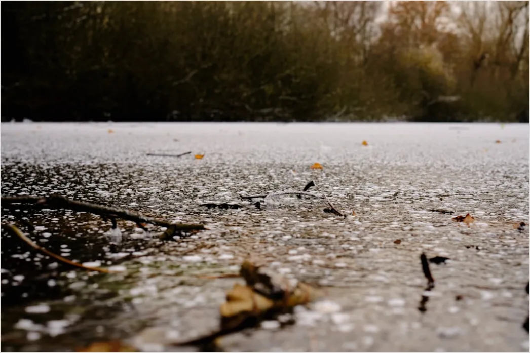 Detail Hailstones On Ground Close Up Number 19