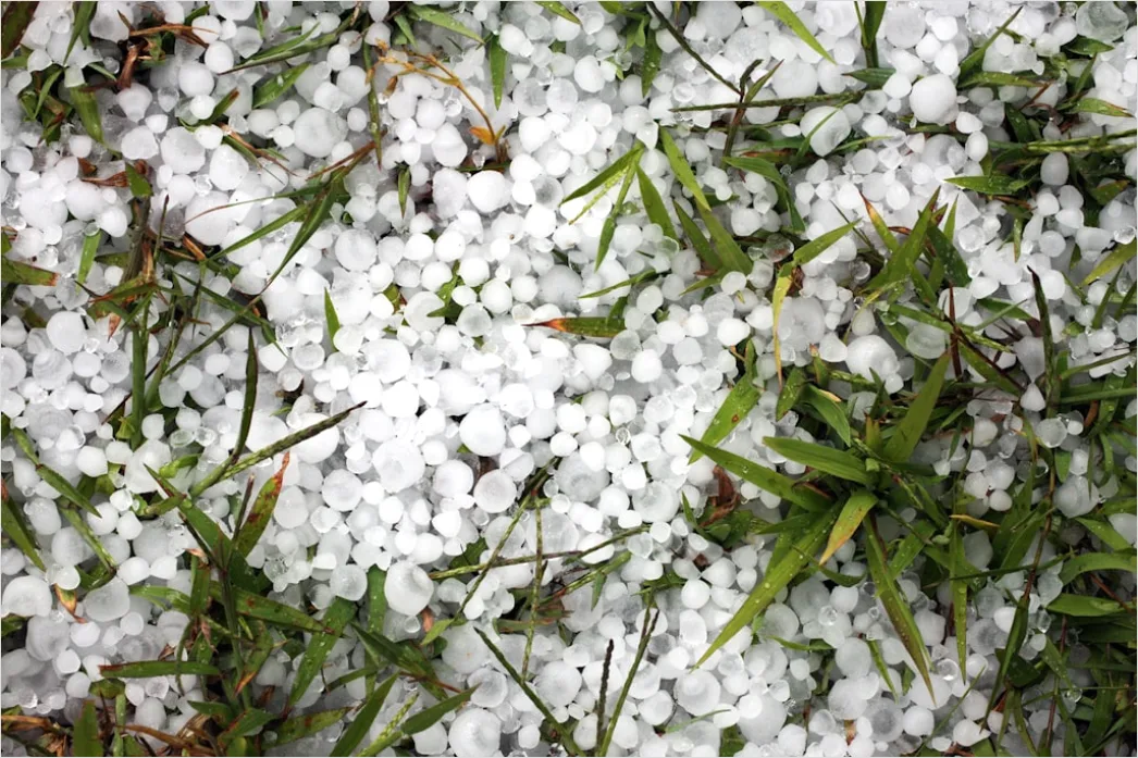 Detail Hailstones On Ground Close Up Number 3