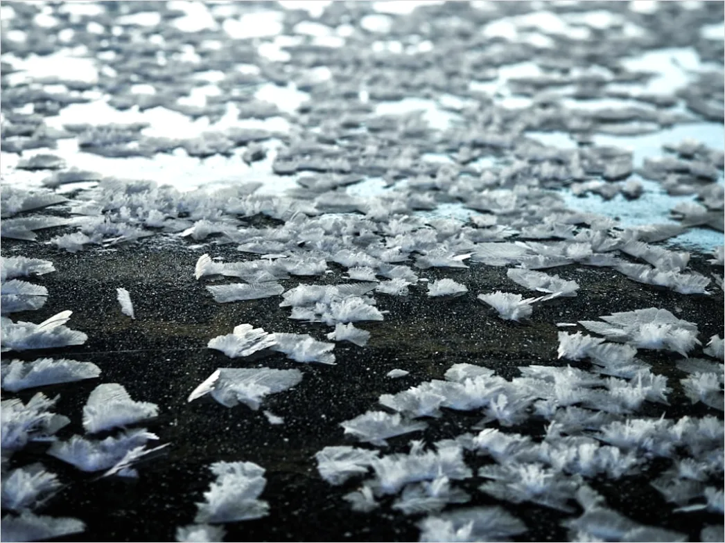 Detail Hailstones On Ground Close Up Number 7