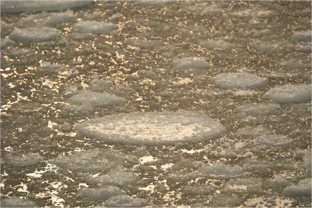 Detail Hailstones On Ground Close Up Number 9