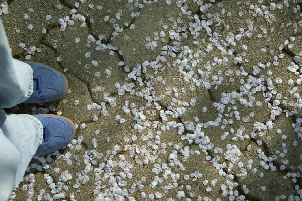 Detail Hailstones On Ground Close Up Number 10