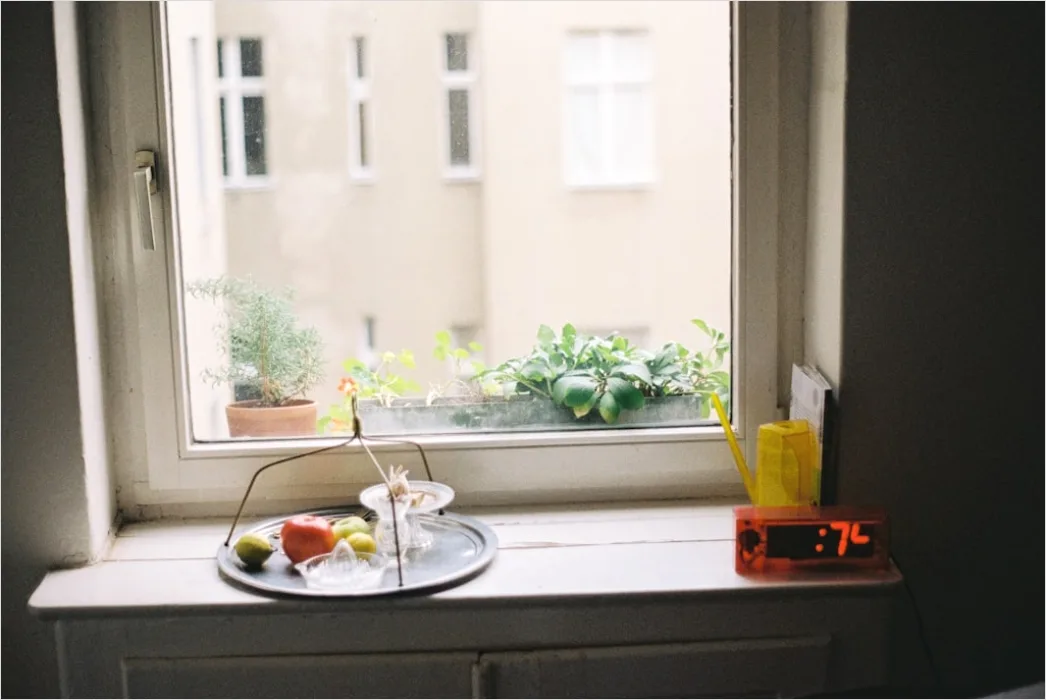 Detail Hotel Breakfast Tray Window View Number 2