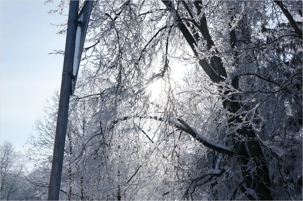 Detail Ice Storm Power Lines Frozen Scene Number 11
