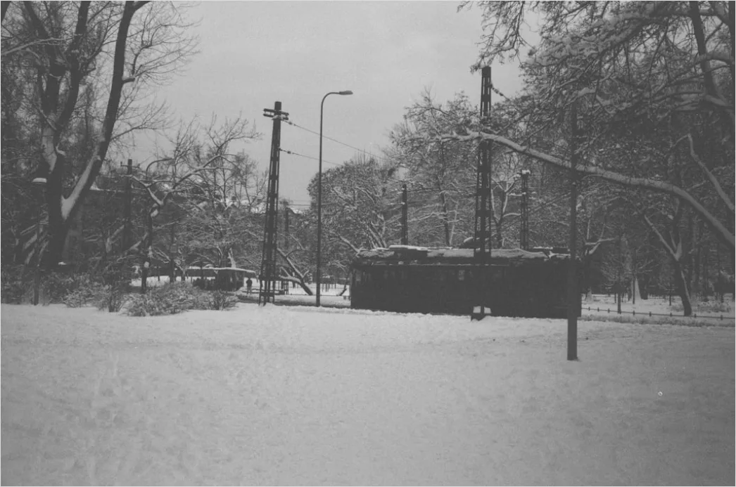 Detail Ice Storm Power Lines Frozen Scene Number 14