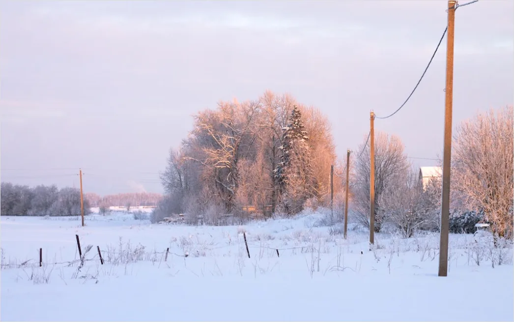 Detail Ice Storm Power Lines Frozen Scene Number 5