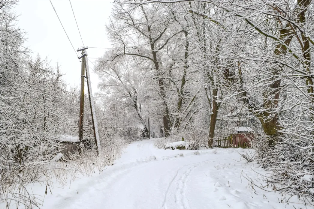 Detail Ice Storm Power Lines Frozen Scene Number 6