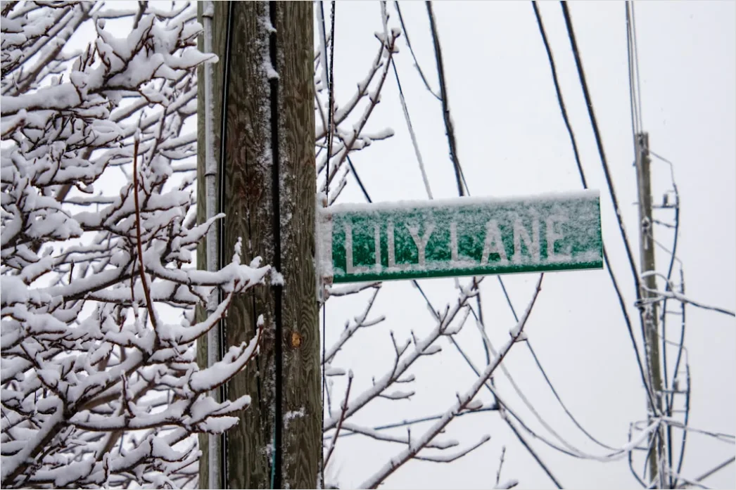 Detail Ice Storm Power Lines Frozen Scene Number 8