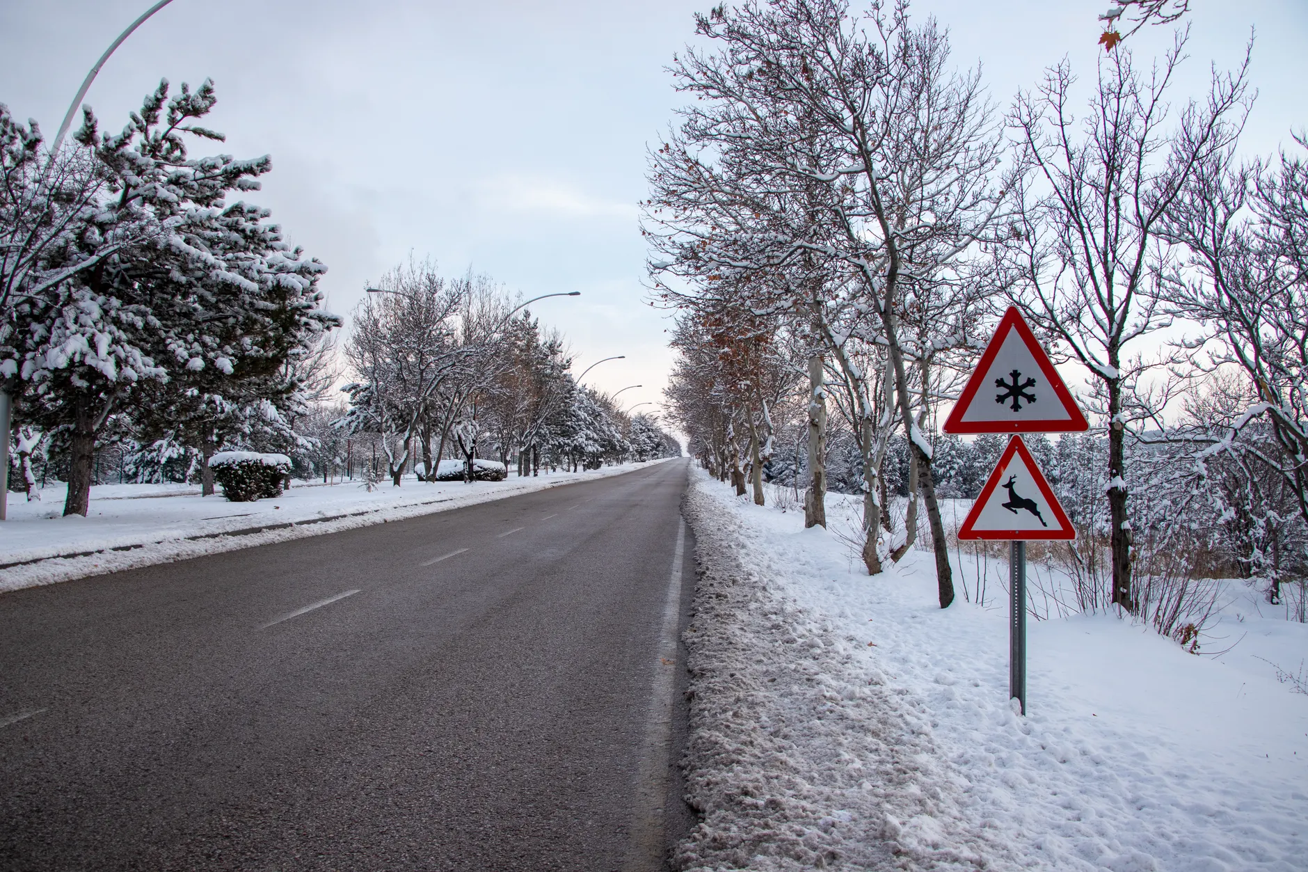Detail Icy Road Surface Warning Background Number 12