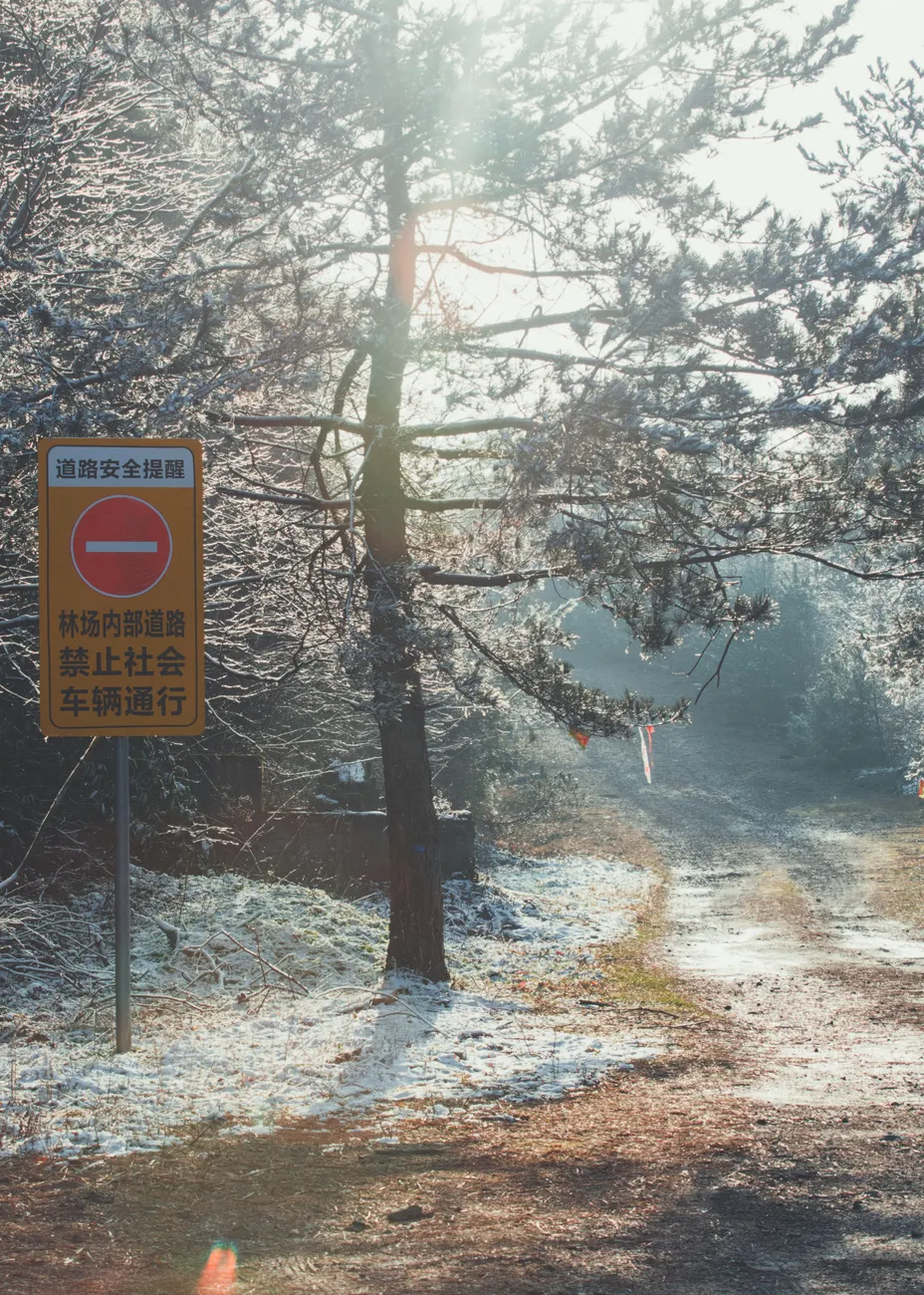 Detail Icy Road Surface Warning Background Number 16