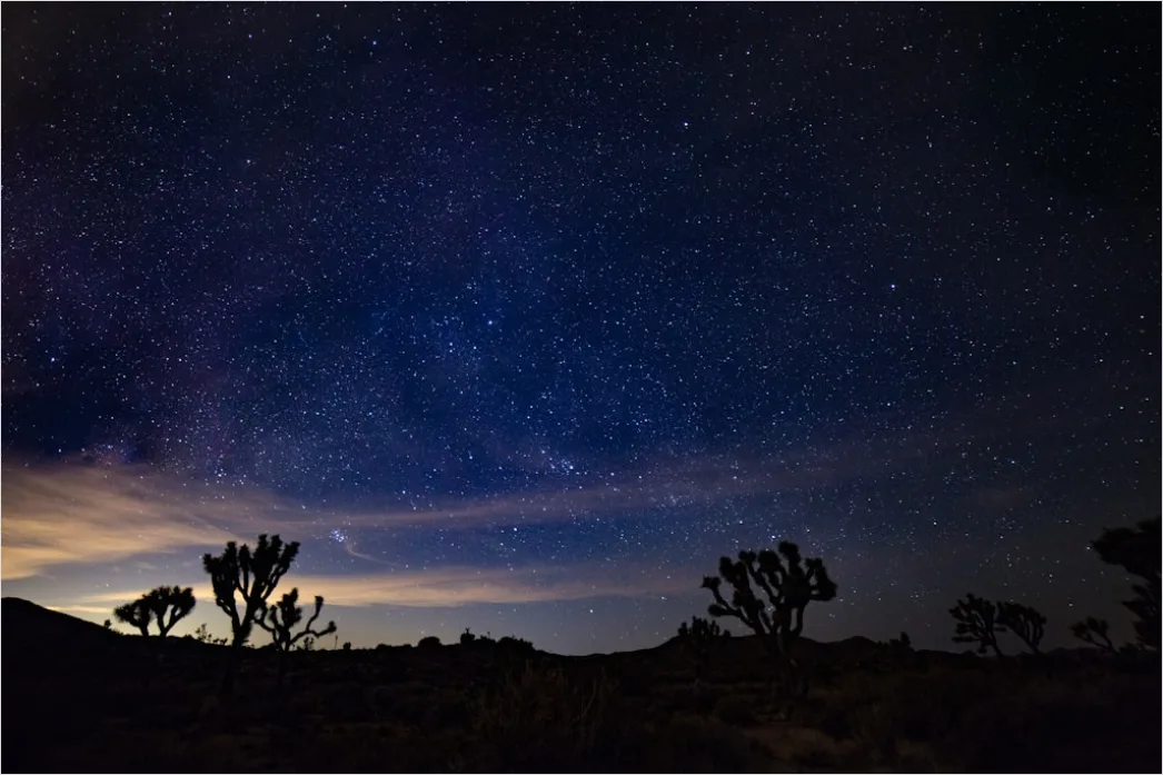 Detail Joshua Tree National Park Stars Number 2