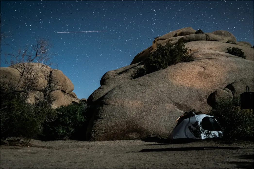 Detail Joshua Tree National Park Stars Number 12