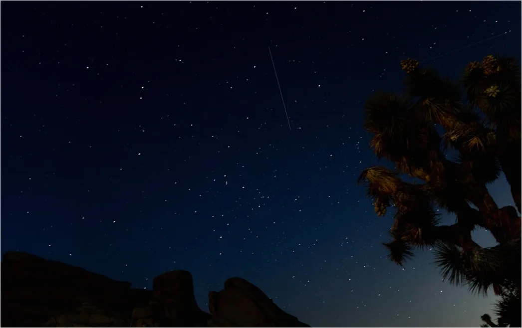Detail Joshua Tree National Park Stars Number 14