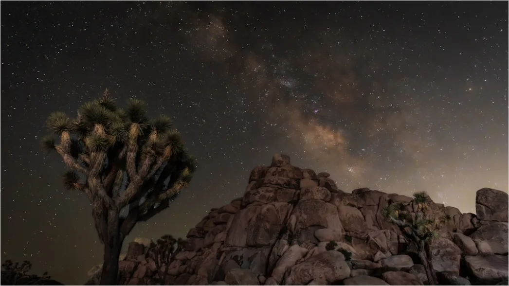Detail Joshua Tree National Park Stars Number 4