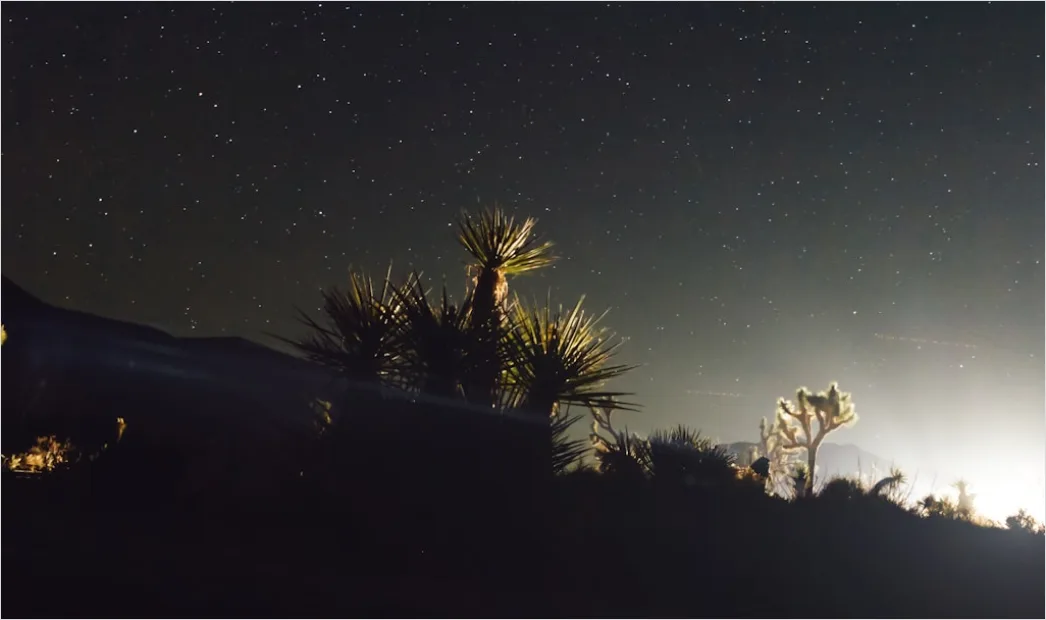 Detail Joshua Tree National Park Stars Number 7
