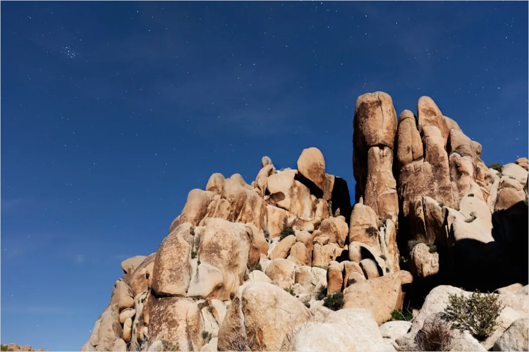 Detail Joshua Tree National Park Stars Number 8