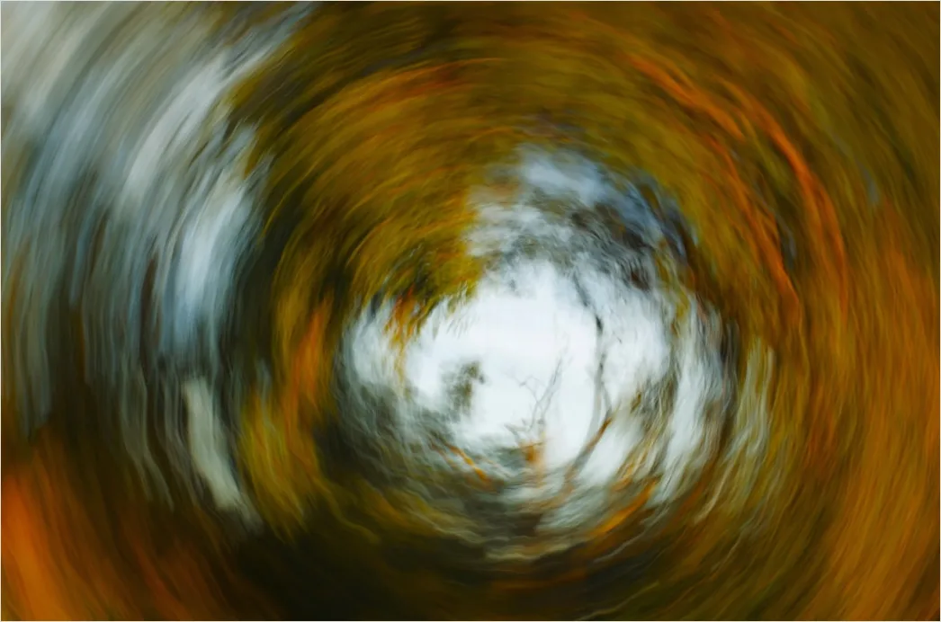 Detail Leaf Swirl Windy Autumn Street Number 13