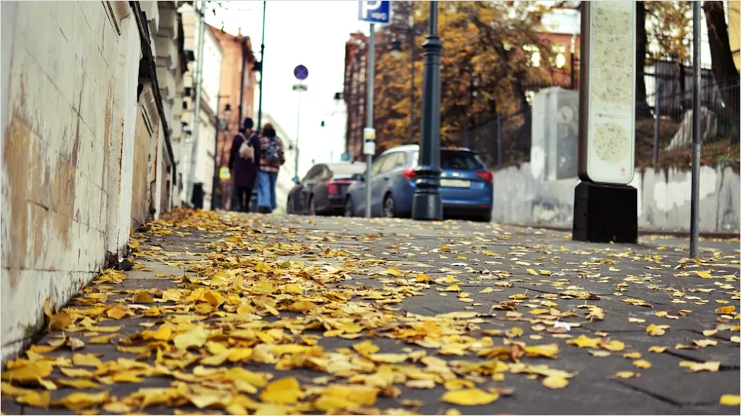 Detail Leaf Swirl Windy Autumn Street Number 6