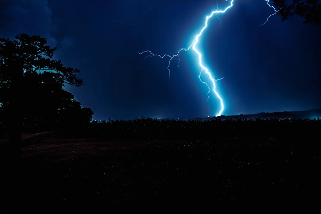 Detail Lightning Silhouette Trees Night Scene Number 3