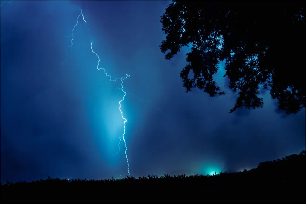 Detail Lightning Silhouette Trees Night Scene Number 5
