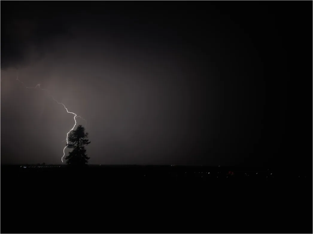 Detail Lightning Silhouette Trees Night Scene Number 6
