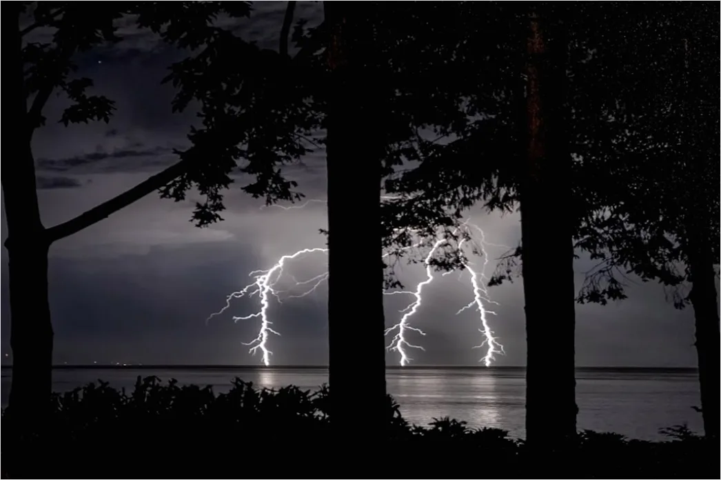 Detail Lightning Silhouette Trees Night Scene Number 9