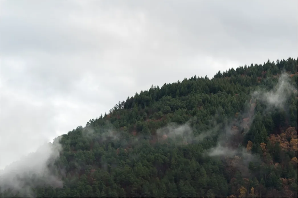 Detail Low Clouds Hugging Mountain Slopes Number 18