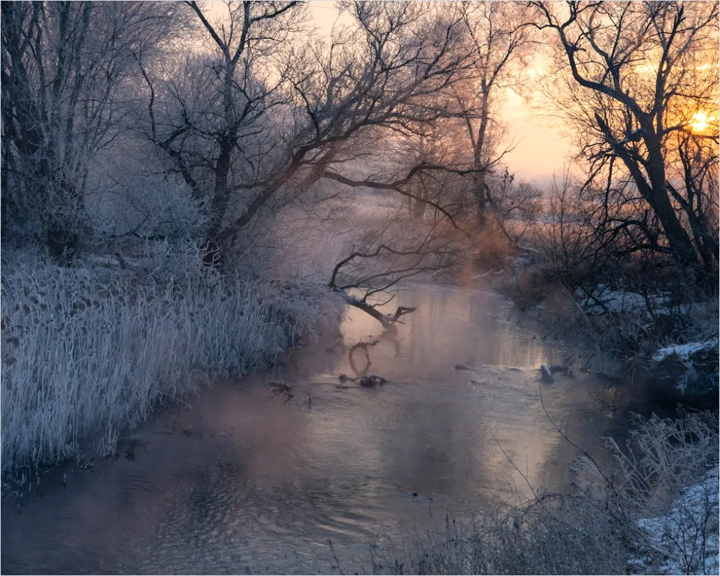 Detail Mist Over River Golden Hour Number 2