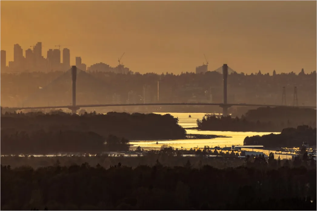 Detail Mist Over River Golden Hour Number 14
