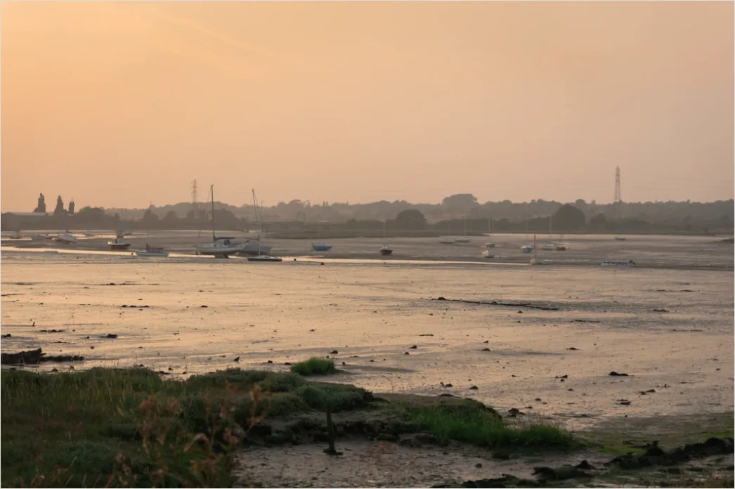 Detail Mist Over River Golden Hour Number 16