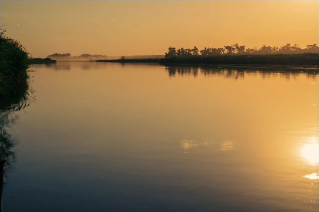 Detail Mist Over River Golden Hour Number 17