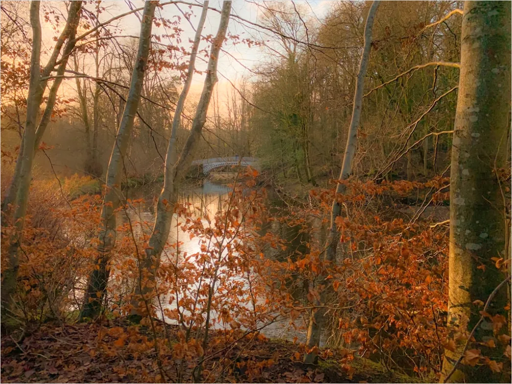 Detail Mist Over River Golden Hour Number 18
