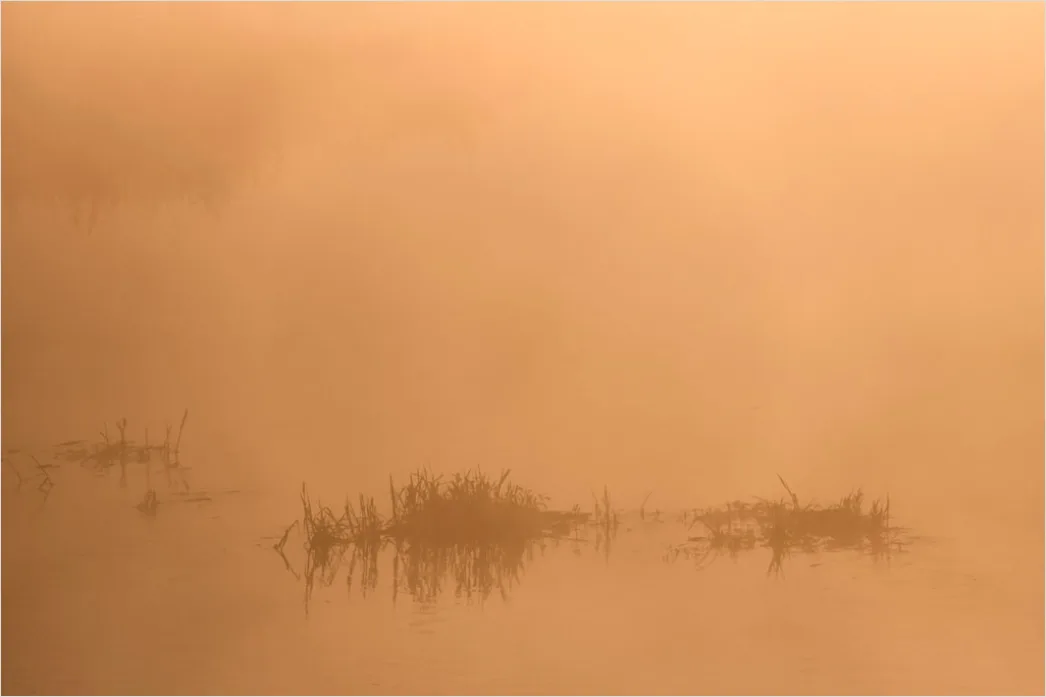 Detail Mist Over River Golden Hour Number 4