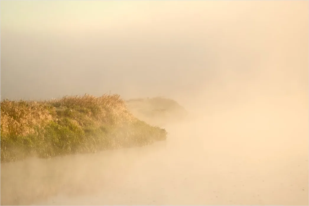 Detail Mist Over River Golden Hour Number 5
