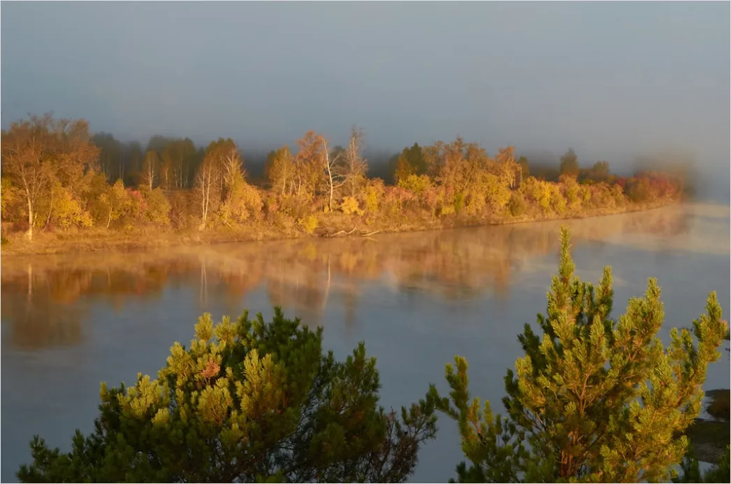 Detail Mist Over River Golden Hour Number 6