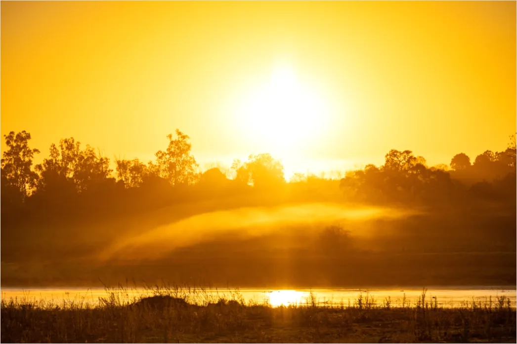 Detail Mist Over River Golden Hour Number 9