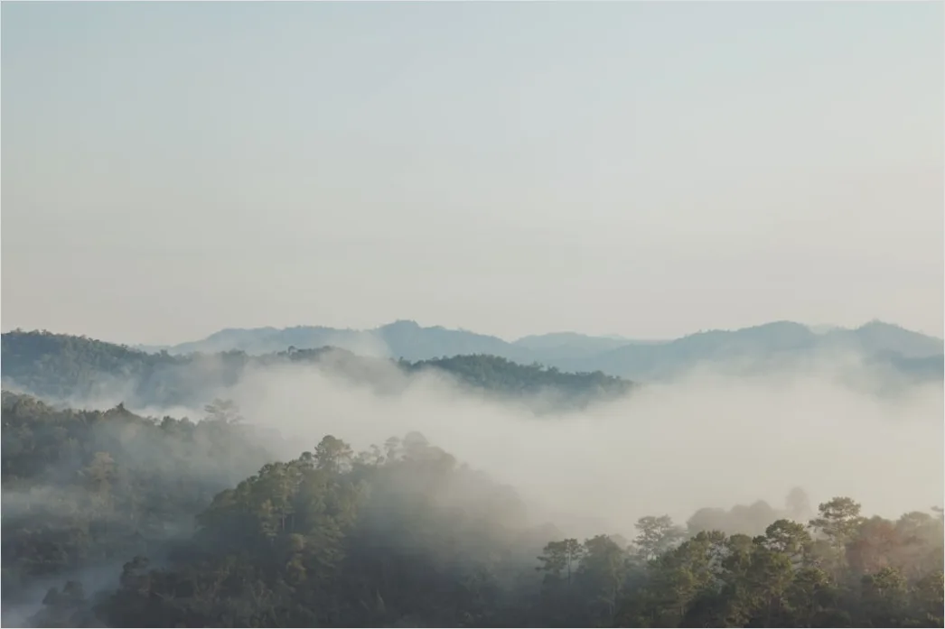 Detail Misty Mountain Valley Sunrise View Number 6