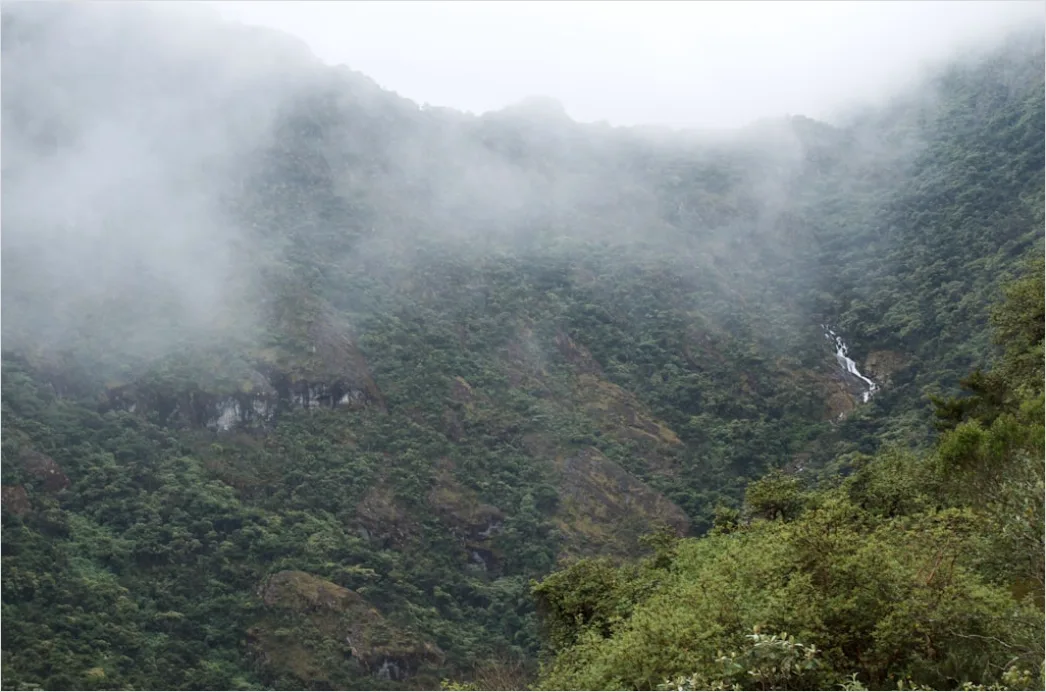Detail Misty Waterfall Forest Humid Air Number 13