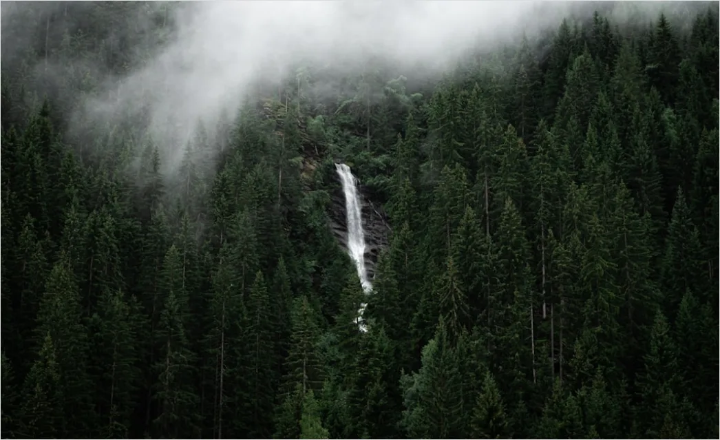 Detail Misty Waterfall Forest Humid Air Number 4