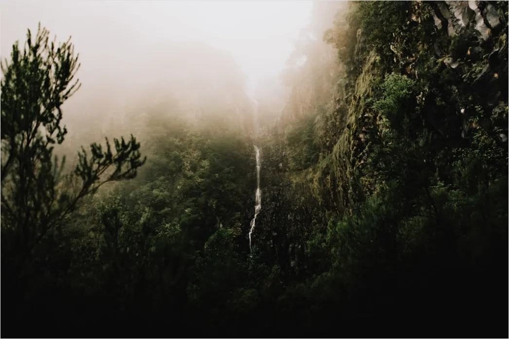 Detail Misty Waterfall Forest Humid Air Number 5