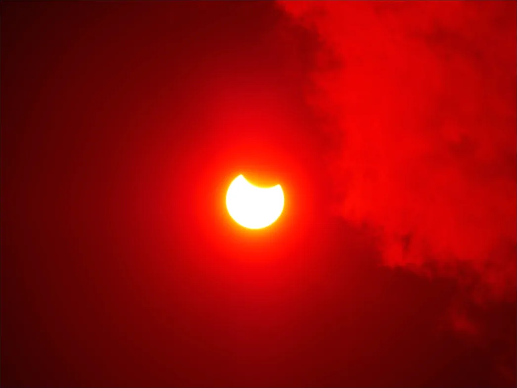 Detail Partial Solar Eclipse Crescent Sun Number 17