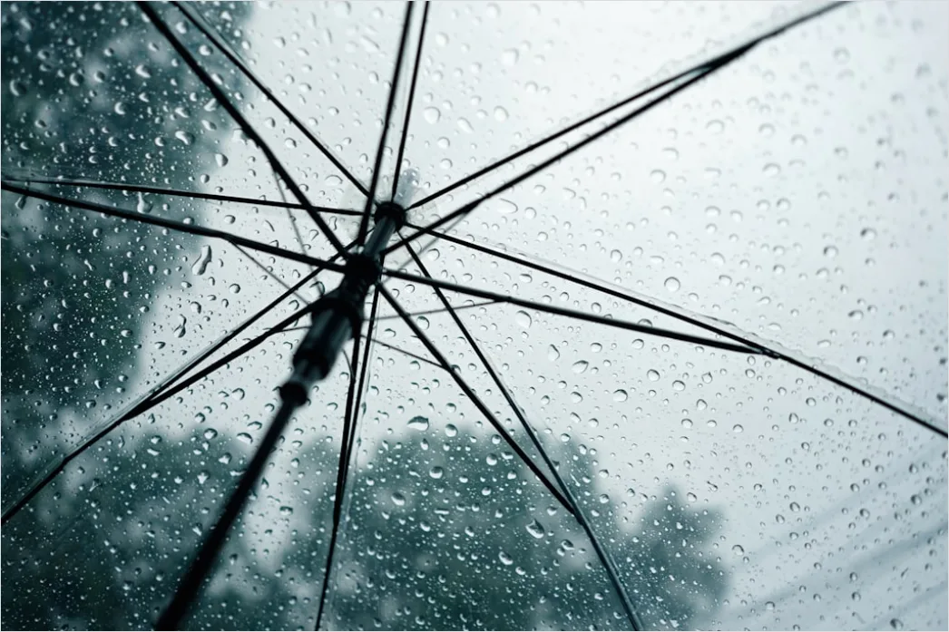 Detail Raindrops On Umbrella Macro Close Up Number 2