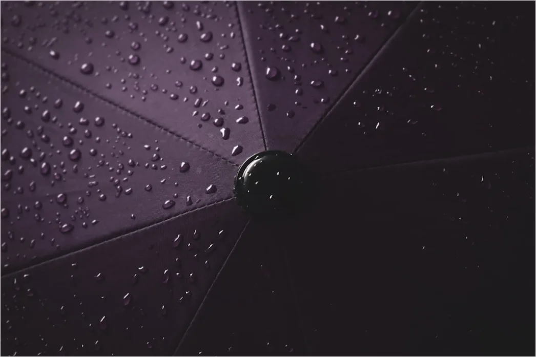 Detail Raindrops On Umbrella Macro Close Up Number 14