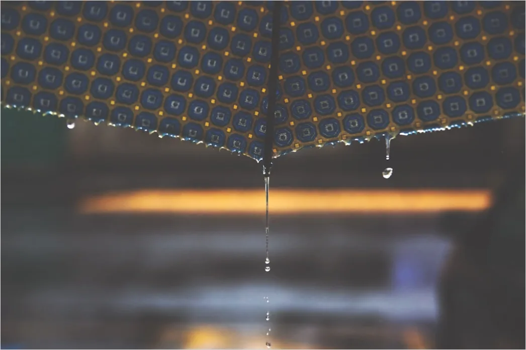 Detail Raindrops On Umbrella Macro Close Up Number 15