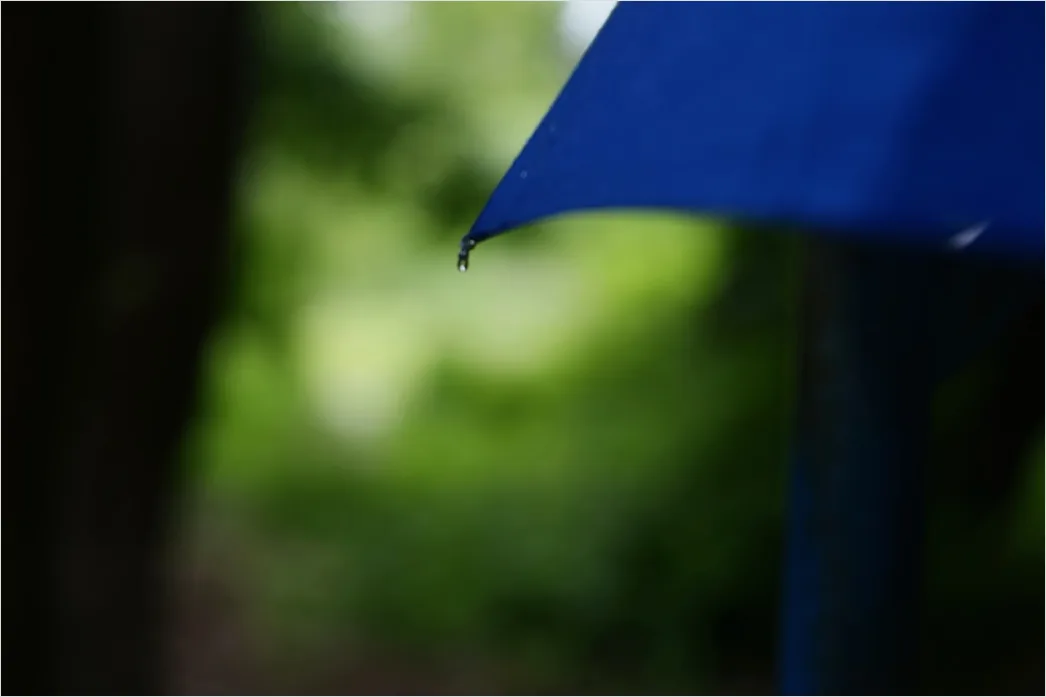Detail Raindrops On Umbrella Macro Close Up Number 17
