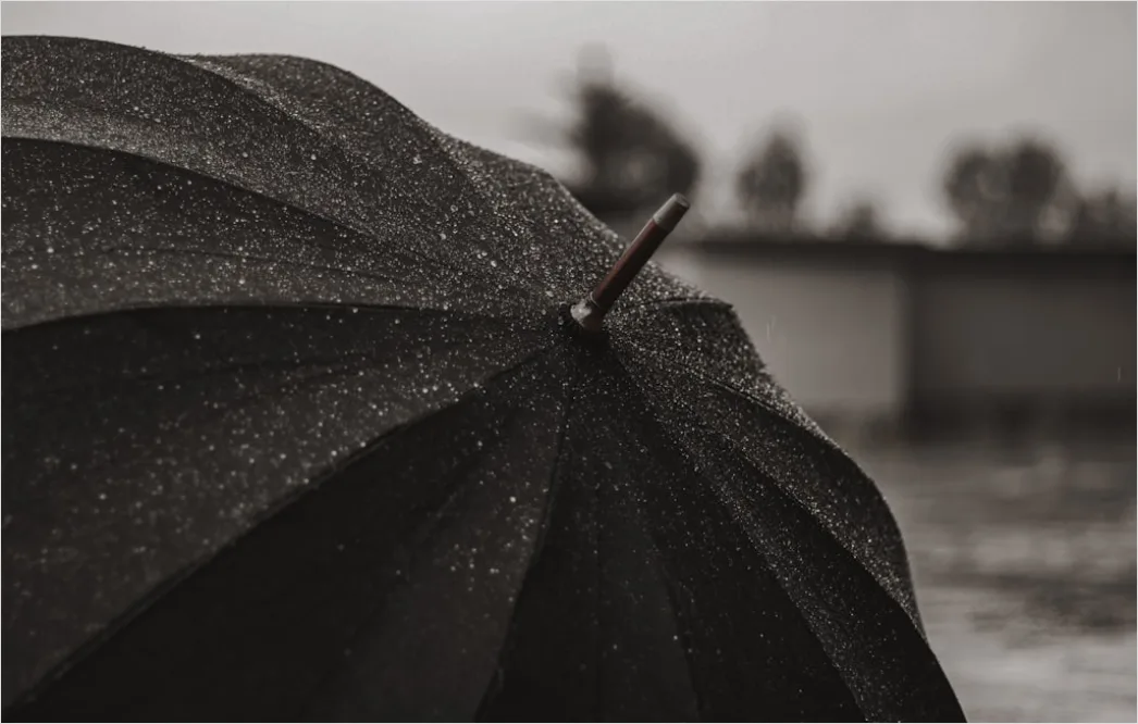 Detail Raindrops On Umbrella Macro Close Up Number 3