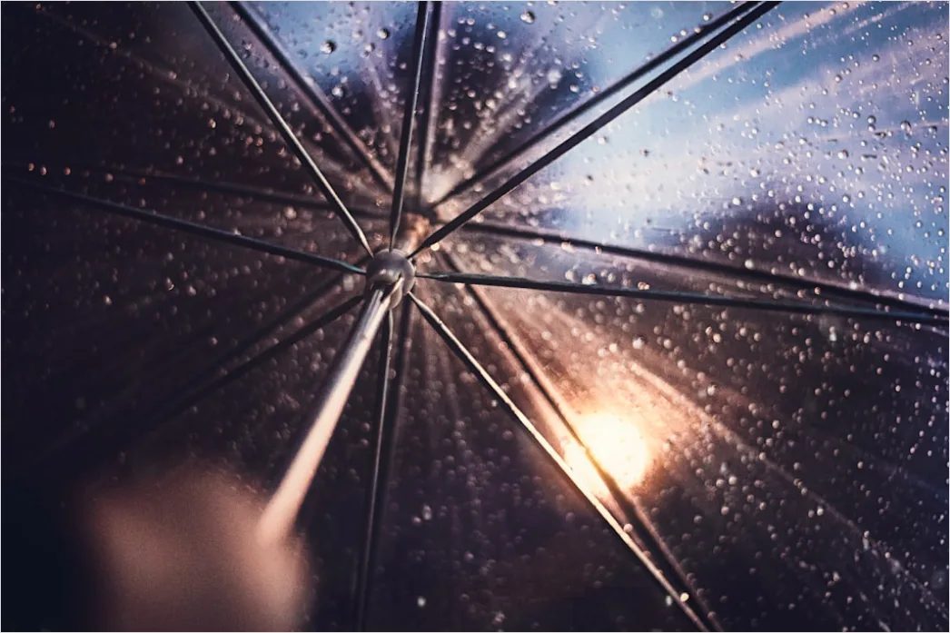 Detail Raindrops On Umbrella Macro Close Up Number 4
