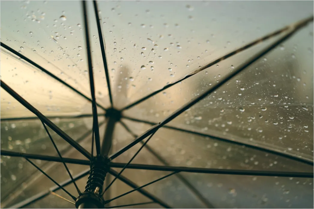 Detail Raindrops On Umbrella Macro Close Up Number 6