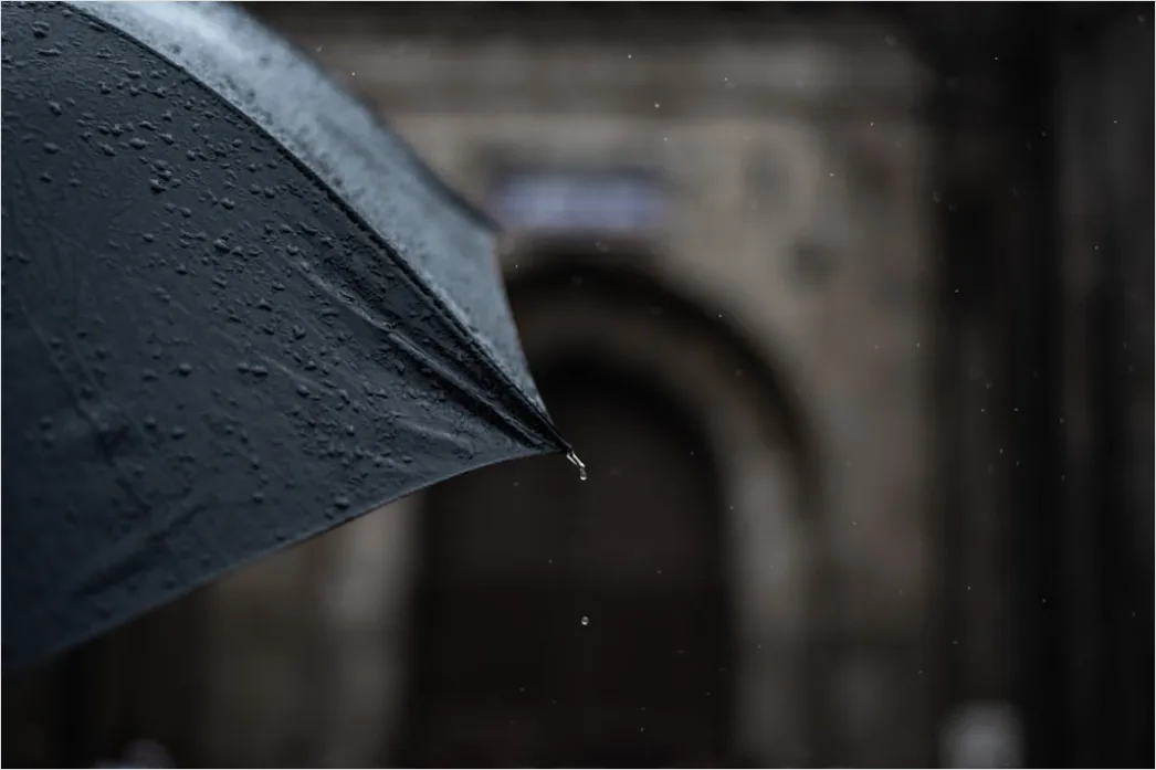 Detail Raindrops On Umbrella Macro Close Up Number 7